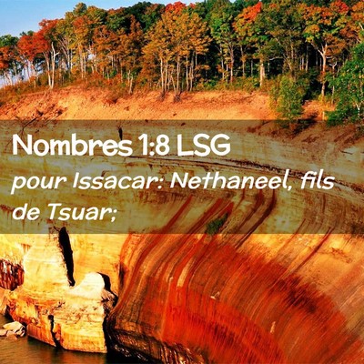 Picture 02 - Nombres 1:8 LSG - pour Issacar: Nethaneel, fils de - Bible Verse Picture