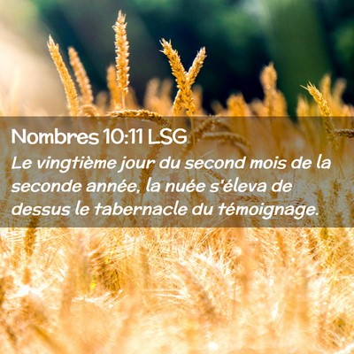 Picture 02 - Nombres 10:11 LSG - Le vingtième jour du second mois de la seconde - Bible Verse Picture