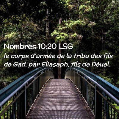 Picture 02 - Nombres 10:20 LSG - le corps d'armée de la tribu des fils de Gad, - Bible Verse Picture