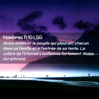 Picture 02 - Nombres 11:10 LSG - Moïse entendit le peuple qui pleurait, chacun - Bible Verse Picture
