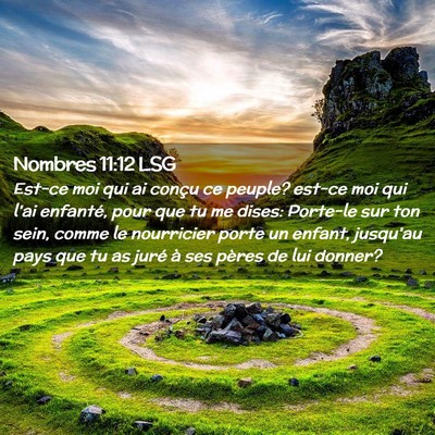 Picture 02 - Nombres 11:12 LSG - Est-ce moi qui ai conçu ce peuple? est-ce moi - Bible Verse Picture