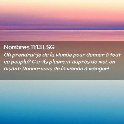 Picture 02 - Nombres 11:13 LSG - Où prendrai-je de la viande pour donner à tout - Bible Verse Picture
