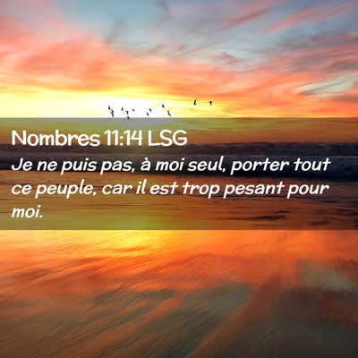 Picture 02 - Nombres 11:14 LSG - Je ne puis pas, à moi seul, porter tout ce - Bible Verse Picture