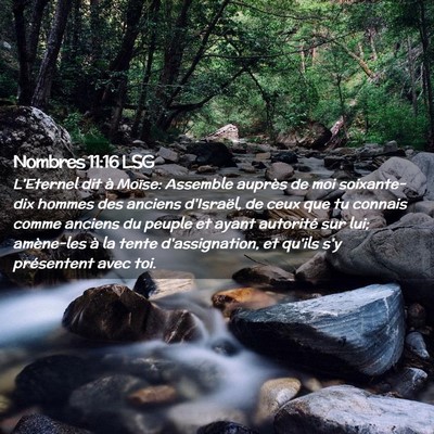 Picture 02 - Nombres 11:16 LSG - L'Eternel dit à Moïse: Assemble auprès de moi - Bible Verse Picture