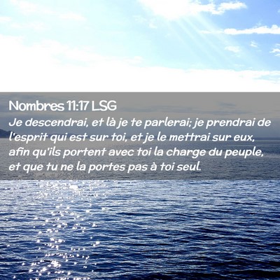 Picture 02 - Nombres 11:17 LSG - Je descendrai, et là je te parlerai; je prendrai - Bible Verse Picture