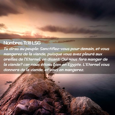 Picture 02 - Nombres 11:18 LSG - Tu diras au peuple: Sanctifiez-vous pour demain, - Bible Verse Picture