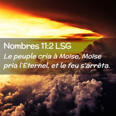 Picture 02 - Nombres 11:2 LSG - Le peuple cria à Moïse. Moïse pria l'Eternel, - Bible Verse Picture