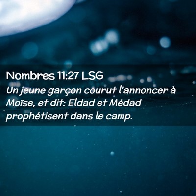 Picture 02 - Nombres 11:27 LSG - Un jeune garçon courut l'annoncer à Moïse, et - Bible Verse Picture