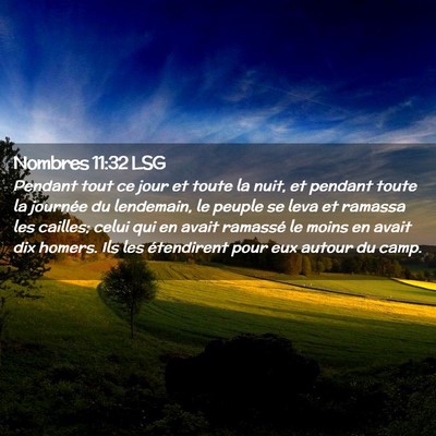 Picture 02 - Nombres 11:32 LSG - Pendant tout ce jour et toute la nuit, et pendant - Bible Verse Picture