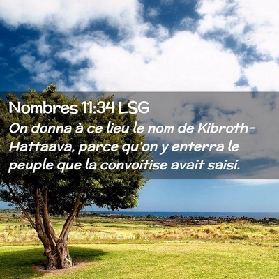 Picture 02 - Nombres 11:34 LSG - On donna à ce lieu le nom de Kibroth-Hattaava, - Bible Verse Picture