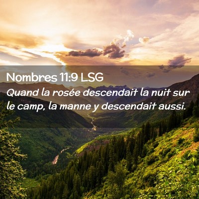 Picture 02 - Nombres 11:9 LSG - Quand la rosée descendait la nuit sur le camp, - Bible Verse Picture