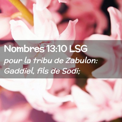 Picture 02 - Nombres 13:10 LSG - pour la tribu de Zabulon: Gaddiel, fils de - Bible Verse Picture