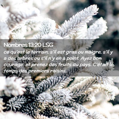 Picture 02 - Nombres 13:20 LSG - ce qu'est le terrain, s'il est gras ou maigre, - Bible Verse Picture