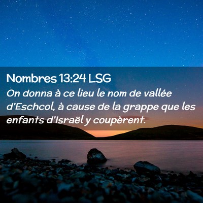 Picture 02 - Nombres 13:24 LSG - On donna à ce lieu le nom de vallée d'Eschcol, - Bible Verse Picture