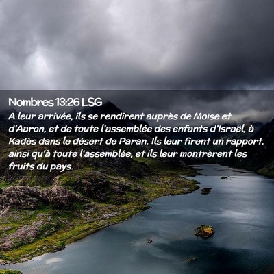 Picture 02 - Nombres 13:26 LSG - A leur arrivée, ils se rendirent auprès de - Bible Verse Picture
