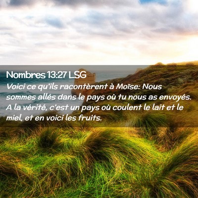 Picture 02 - Nombres 13:27 LSG - Voici ce qu'ils racontèrent à Moïse: Nous - Bible Verse Picture