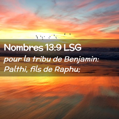 Picture 02 - Nombres 13:9 LSG - pour la tribu de Benjamin: Palthi, fils de - Bible Verse Picture