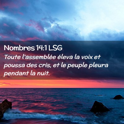 Picture 02 - Nombres 14:1 LSG - Toute l'assemblée éleva la voix et poussa des - Bible Verse Picture