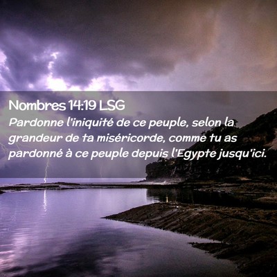 Picture 02 - Nombres 14:19 LSG - Pardonne l'iniquité de ce peuple, selon la - Bible Verse Picture