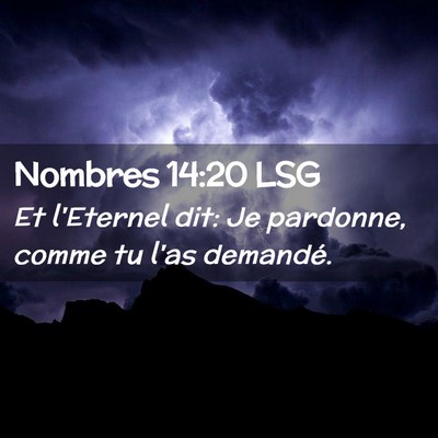 Picture 02 - Nombres 14:20 LSG - Et l'Eternel dit: Je pardonne, comme tu l'as - Bible Verse Picture