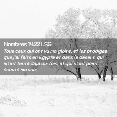 Picture 02 - Nombres 14:22 LSG - Tous ceux qui ont vu ma gloire, et les prodiges - Bible Verse Picture