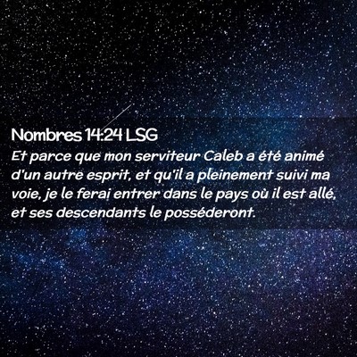 Picture 02 - Nombres 14:24 LSG - Et parce que mon serviteur Caleb a été animé - Bible Verse Picture