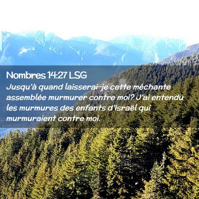 Picture 02 - Nombres 14:27 LSG - Jusqu'à quand laisserai-je cette méchante - Bible Verse Picture