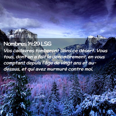 Picture 02 - Nombres 14:29 LSG - Vos cadavres tomberont dans ce désert. Vous - Bible Verse Picture