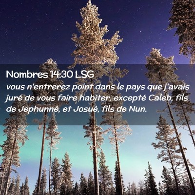 Picture 02 - Nombres 14:30 LSG - vous n'entrerez point dans le pays que j'avais - Bible Verse Picture