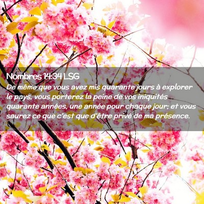 Picture 02 - Nombres 14:34 LSG - De même que vous avez mis quarante jours à - Bible Verse Picture