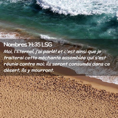 Picture 02 - Nombres 14:35 LSG - Moi, l'Eternel, j'ai parlé! et c'est ainsi que - Bible Verse Picture