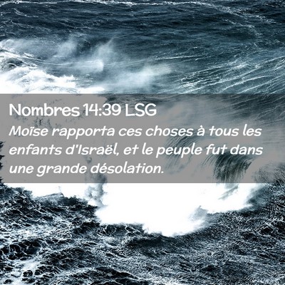 Picture 02 - Nombres 14:39 LSG - Moïse rapporta ces choses à tous les enfants - Bible Verse Picture
