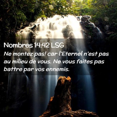 Picture 02 - Nombres 14:42 LSG - Ne montez pas! car l'Eternel n'est pas au milieu - Bible Verse Picture