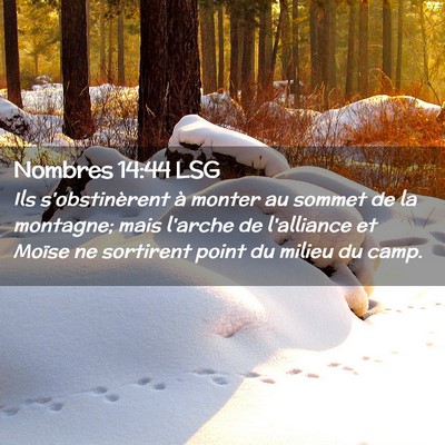 Picture 02 - Nombres 14:44 LSG - Ils s'obstinèrent à monter au sommet de la - Bible Verse Picture