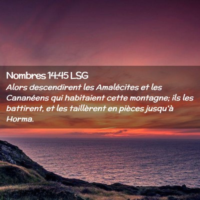 Picture 02 - Nombres 14:45 LSG - Alors descendirent les Amalécites et les - Bible Verse Picture