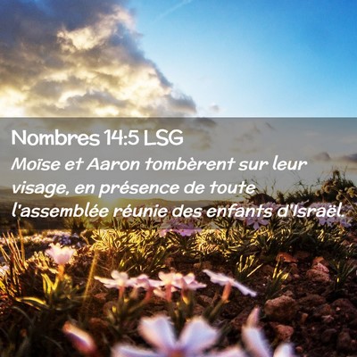 Picture 02 - Nombres 14:5 LSG - Moïse et Aaron tombèrent sur leur visage, en - Bible Verse Picture