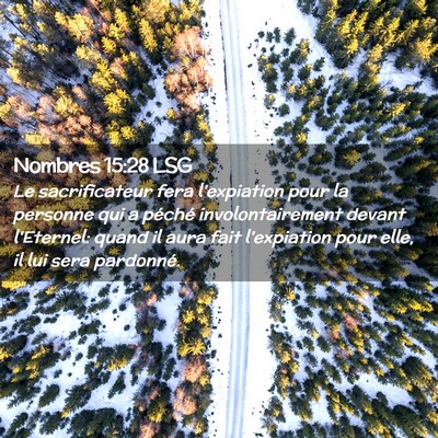 Picture 02 - Nombres 15:28 LSG - Le sacrificateur fera l'expiation pour la - Bible Verse Picture