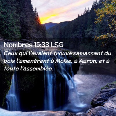 Picture 02 - Nombres 15:33 LSG - Ceux qui l'avaient trouvé ramassant du bois - Bible Verse Picture