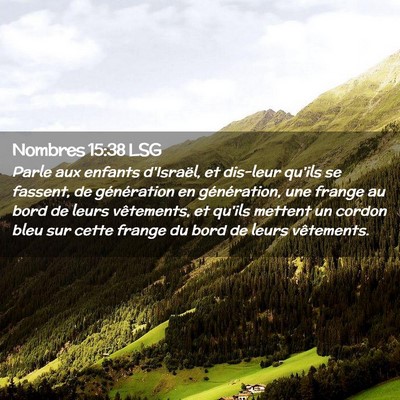 Picture 02 - Nombres 15:38 LSG - Parle aux enfants d'Israël, et dis-leur qu'ils - Bible Verse Picture