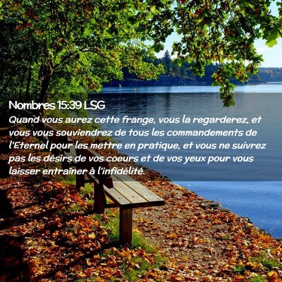 Picture 02 - Nombres 15:39 LSG - Quand vous aurez cette frange, vous la - Bible Verse Picture