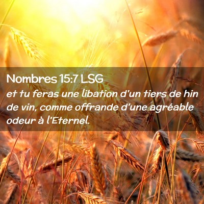 Picture 02 - Nombres 15:7 LSG - et tu feras une libation d'un tiers de hin de - Bible Verse Picture