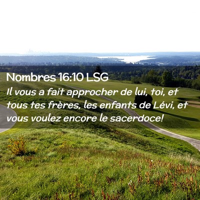 Picture 02 - Nombres 16:10 LSG - Il vous a fait approcher de lui, toi, et tous tes - Bible Verse Picture