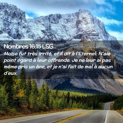 Picture 02 - Nombres 16:15 LSG - Moïse fut très irrité, et il dit à l'Eternel: - Bible Verse Picture