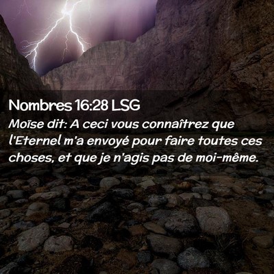 Picture 02 - Nombres 16:28 LSG - Moïse dit: A ceci vous connaîtrez que l'Eternel - Bible Verse Picture