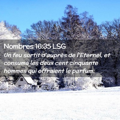 Picture 02 - Nombres 16:35 LSG - Un feu sortit d'auprès de l'Eternel, et consuma - Bible Verse Picture