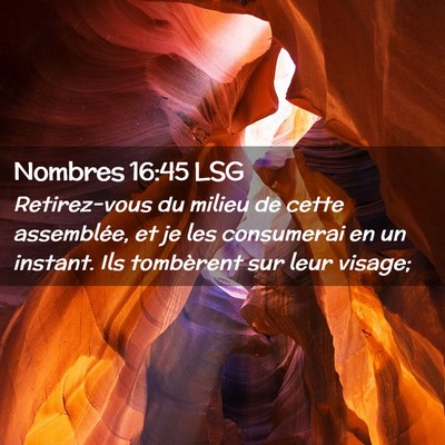 Picture 02 - Nombres 16:45 LSG - Retirez-vous du milieu de cette assemblée, et je - Bible Verse Picture