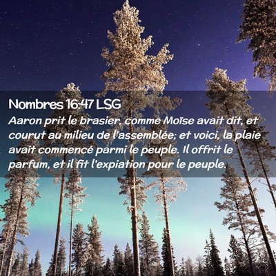 Picture 02 - Nombres 16:47 LSG - Aaron prit le brasier, comme Moïse avait dit, et - Bible Verse Picture