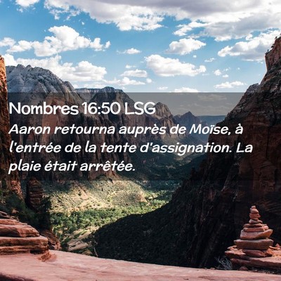 Picture 02 - Nombres 16:50 LSG - Aaron retourna auprès de Moïse, à l'entrée de - Bible Verse Picture