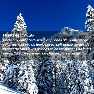 Picture 02 - Nombres 17:2 LSG - Parle aux enfants d'Israël, et prends d'eux une - Bible Verse Picture
