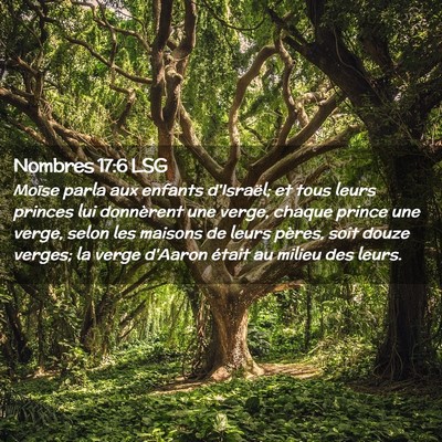 Picture 02 - Nombres 17:6 LSG - Moïse parla aux enfants d'Israël; et tous leurs - Bible Verse Picture
